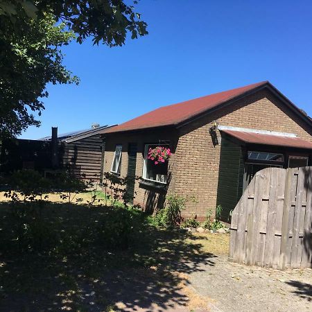 Bungalow Halfweg بالم المظهر الخارجي الصورة